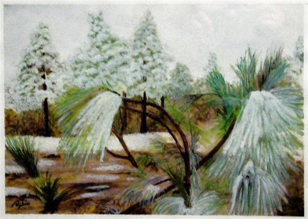 NIEVE Y HIELO Watercolour Paper Landscaping