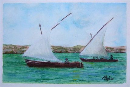 Vela latina