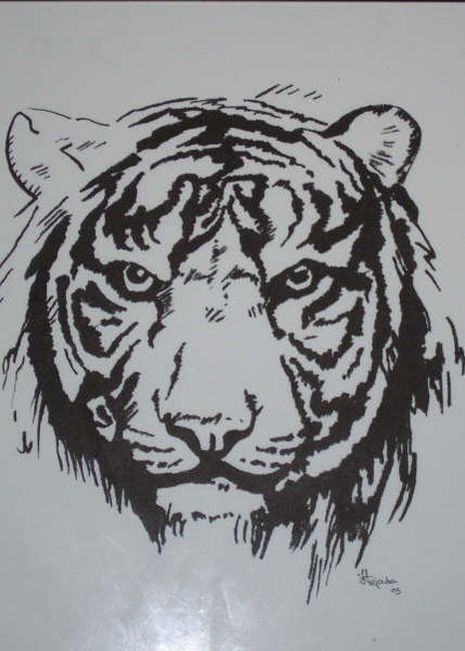 Tigre