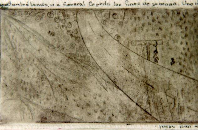 Permuta 01