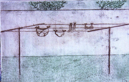 Permuta 62
