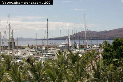 2004 - Trofeo César Manrique Pto. Calero - 15 