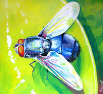 Mosca veraniega