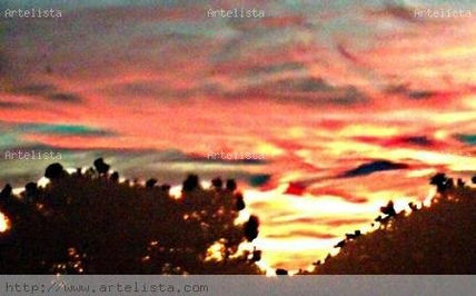 Rojo  atardecer