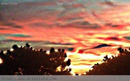 Rojo  atardecer