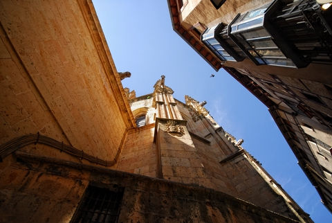 Cathedral of Segovia I 