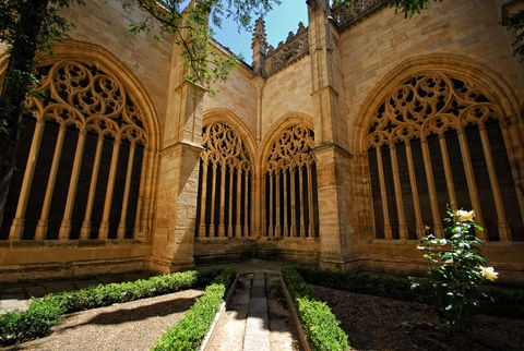 Cathedral of Segovia III 