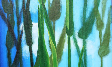 mundo vegetal