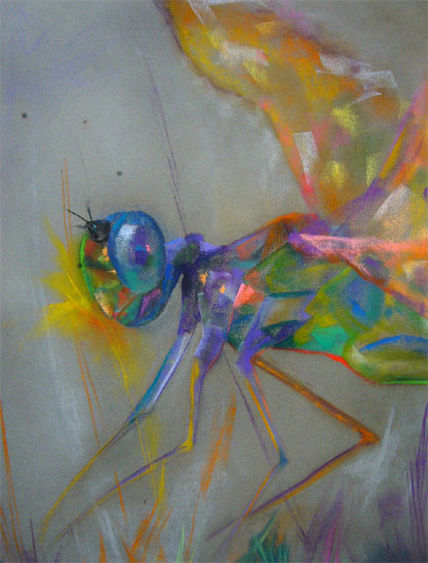 Mariposa2