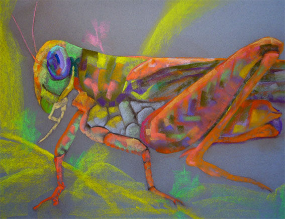 saltamontes 