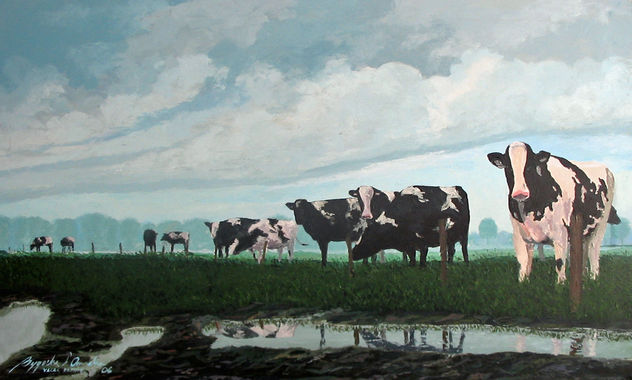 vacas en Drente, Holanda