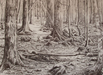 Bosque mágico