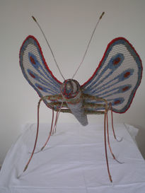 Mariposa