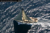 2005 - Fortuny-...