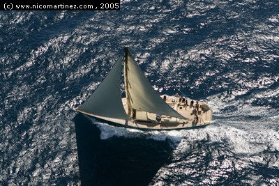 2005 - Fortuny-...