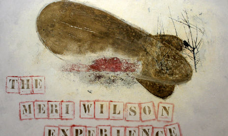 The Meri Wilson Experience