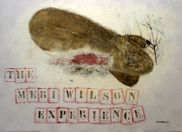 The Meri Wilson Experience Mixed media Canvas Others