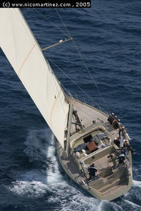 2005 - Fortuny-...