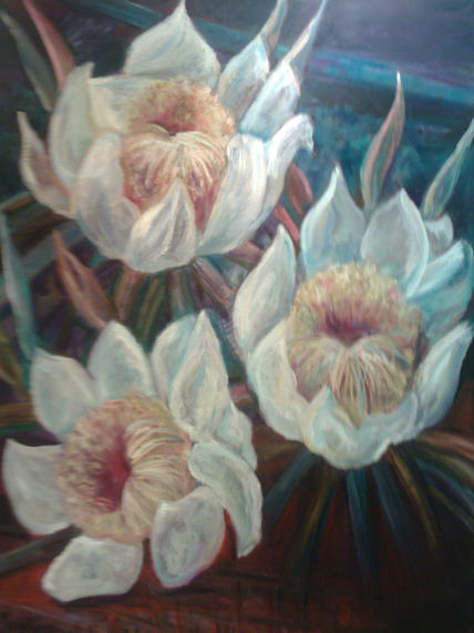 Cereus