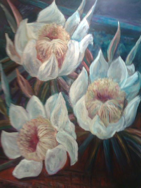 Cereus
