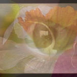 MIRADA DE CIELO Y ORQUIDEAS(FOTOCOLLAGE) thumbnail 1