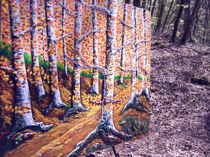 Fageda a la tardor....