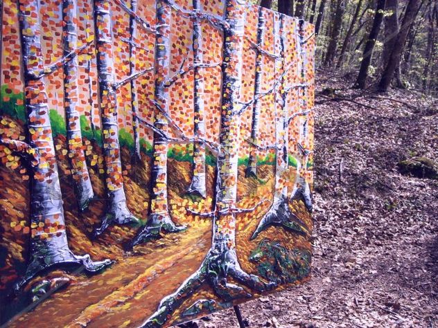 Fageda a la tardor. Hayedo en otoño.