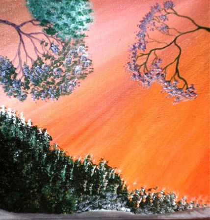 Aurora Boreal