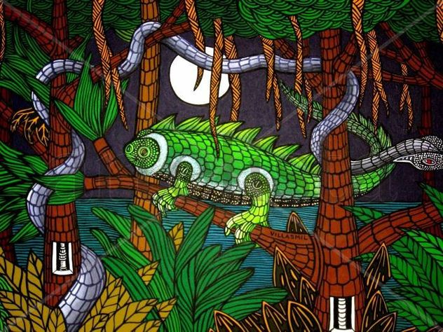 Serie sobre los Everglades
