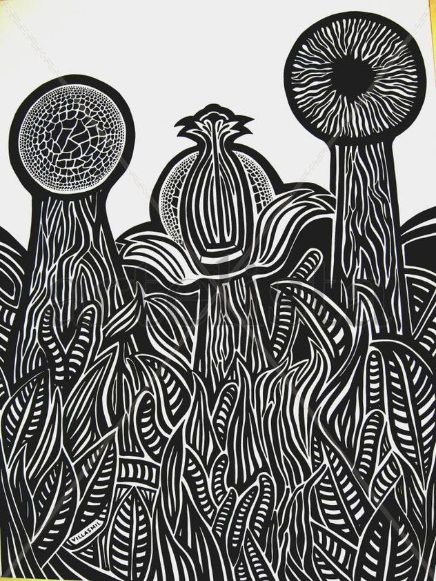 Serie sobre los Everglades