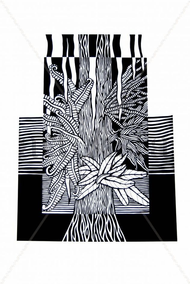 Serie sobre los Everglades