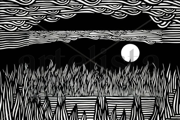 Serie sobre los Everglades