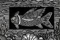 Serie sobre los Everglades