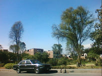 Panorama cooperativa