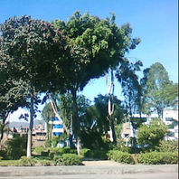 obra