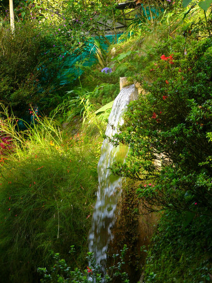 Naturaleza viva 4
