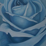 Flores thumbnail 2