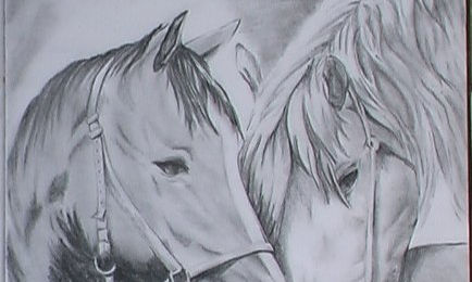 Animales