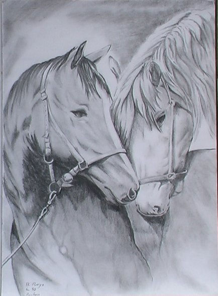 caballos 1