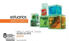 Estuario