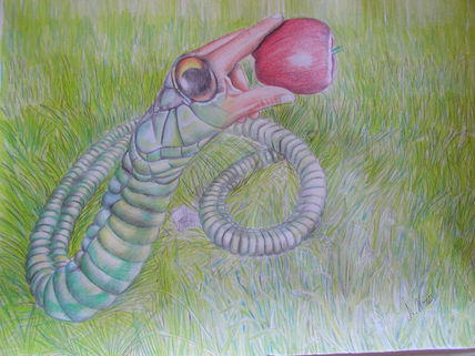 La serpiente del...