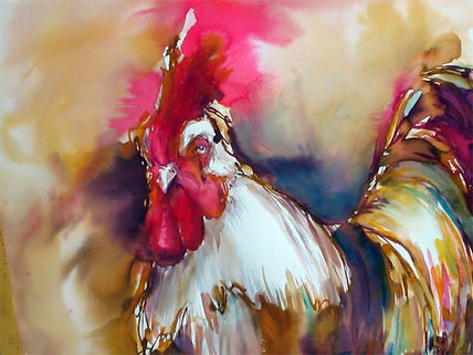 Gallo