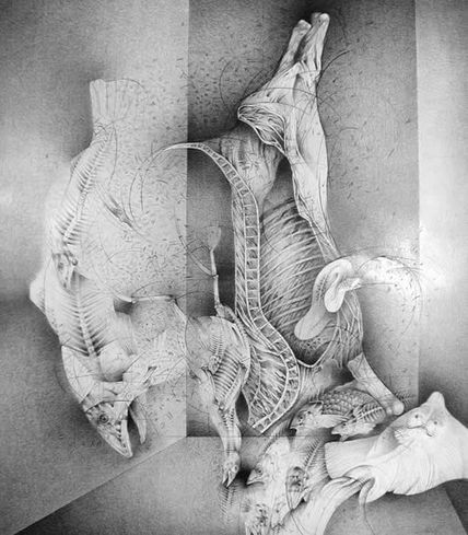 Naturaleza muerta