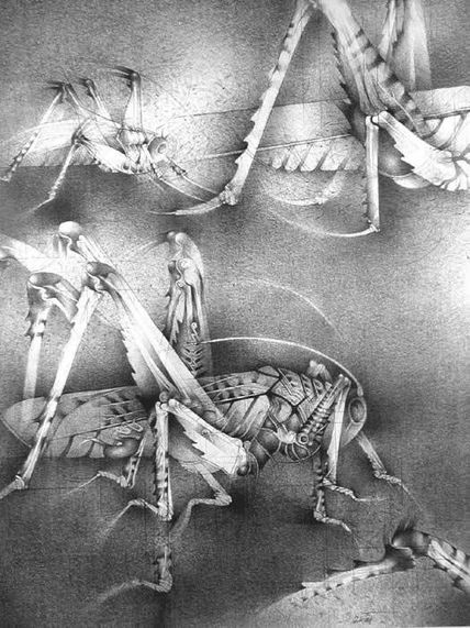 Saltamontes
