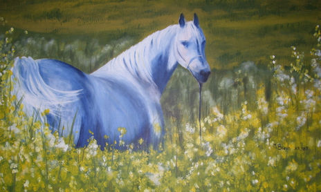 animales