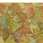 Hojas de Otoño thumbnail 1