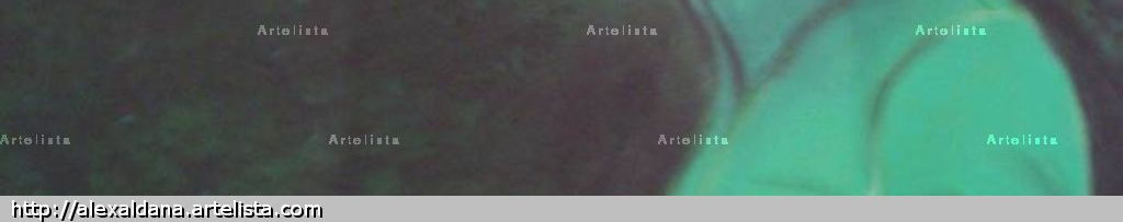 Imagen de portada