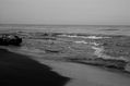 Costa Atlantica