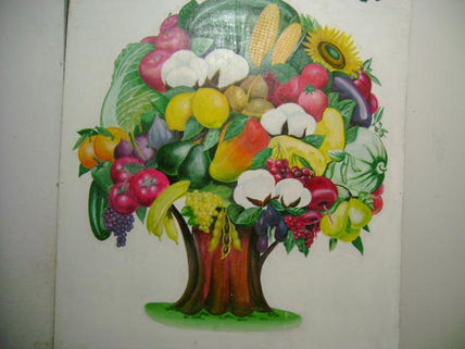 Agrodiversidad