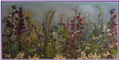 Primavera